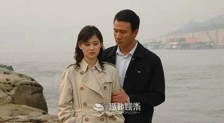 90年代现实题材电视剧岁月