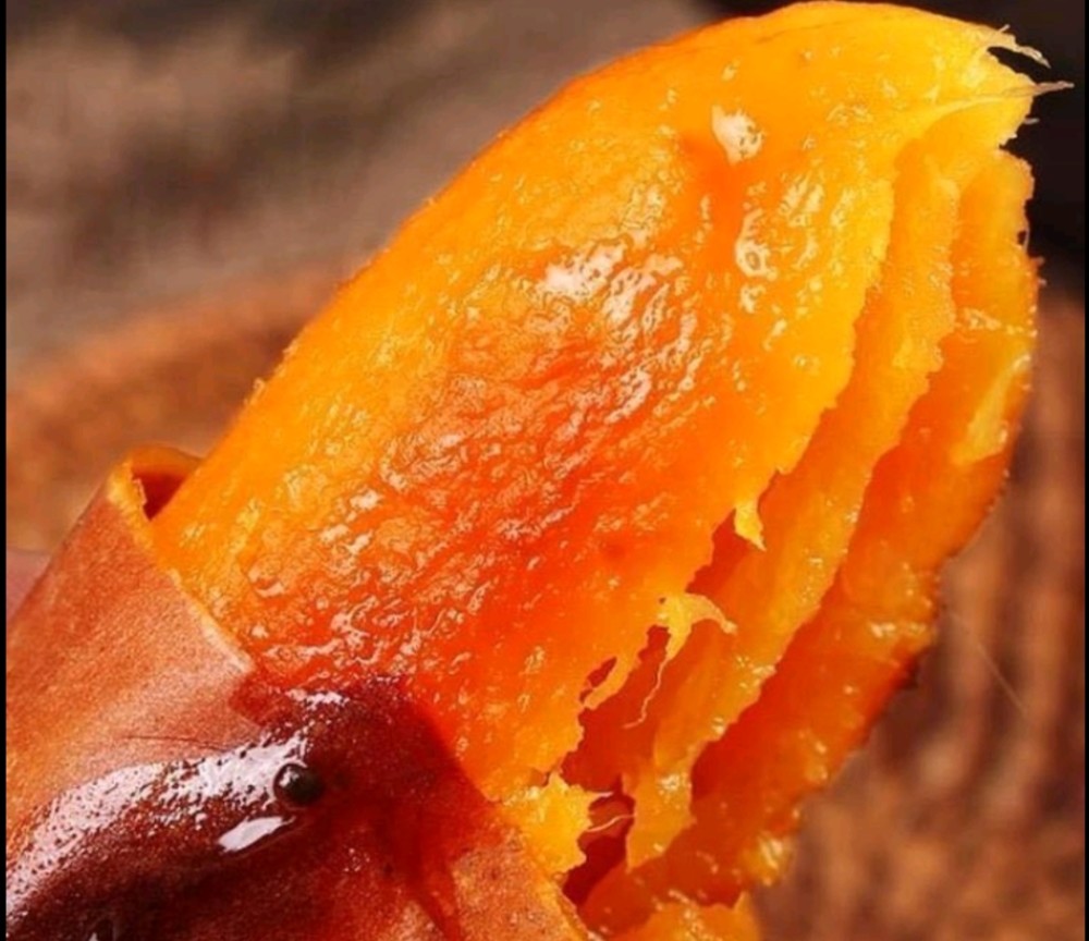 乡村大叔种植一百多亩蜜薯一年狂赚两三百万他到底是如何做到的