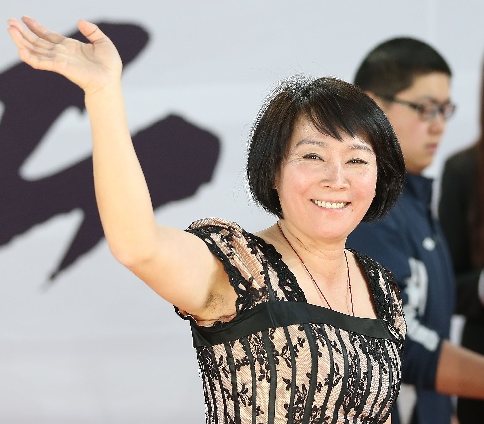 回顾马燕红的体操生涯可以用轰轰烈烈来形容你认可吗