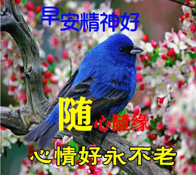 早上好朋友,早安问候语图片带字温馨,暖心早上好图片表情祝福语录