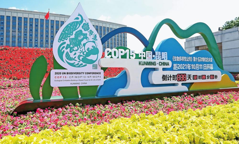 cop15相约春城手抄报图片