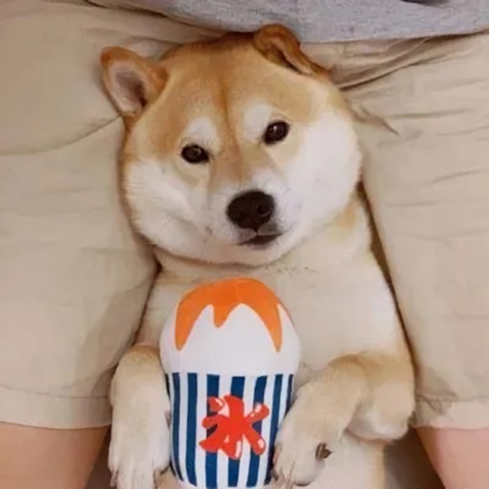 秀死单身狗的情侣头像情侣都在用的微信qq头像