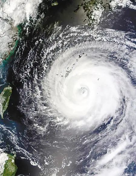 台风将要来临蔬菜价格要上涨