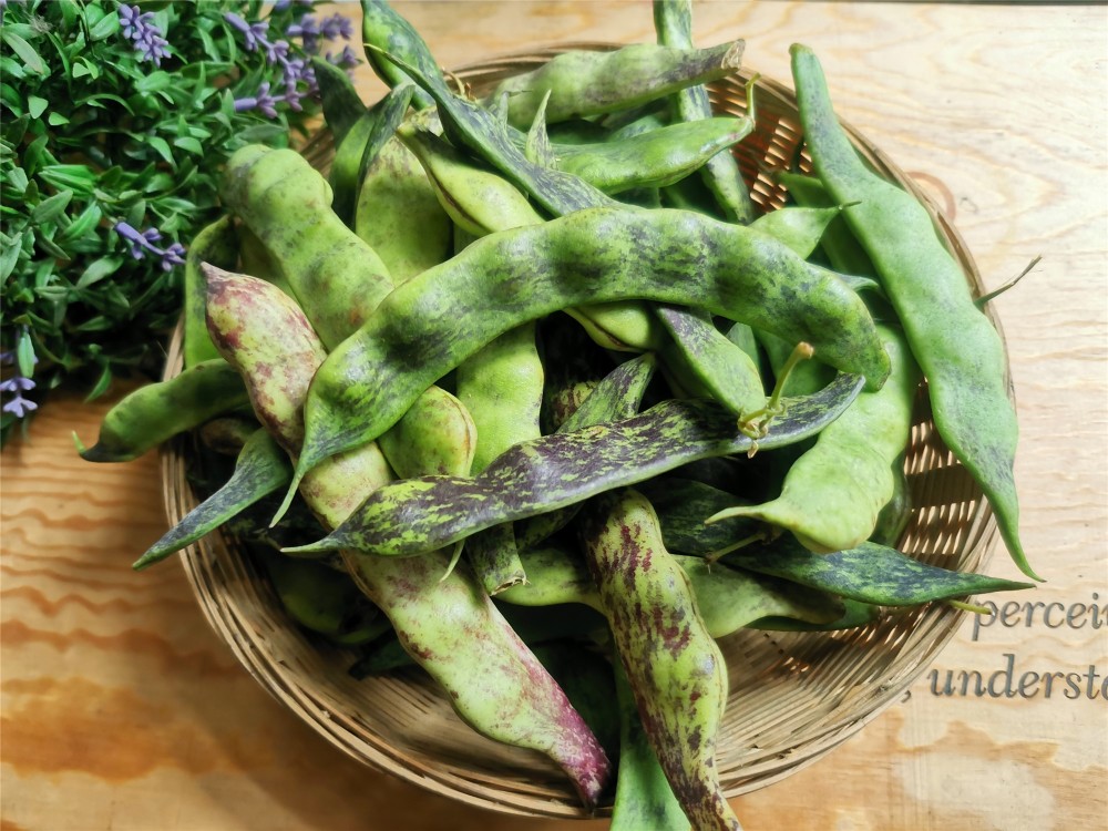 【後彎腰】【大馬掌】【一點紅】【紫花油豆角】【花生油豆角】【五常