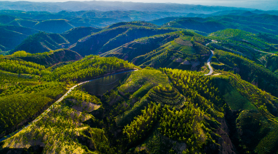 榆林治沙造林的那些人和事