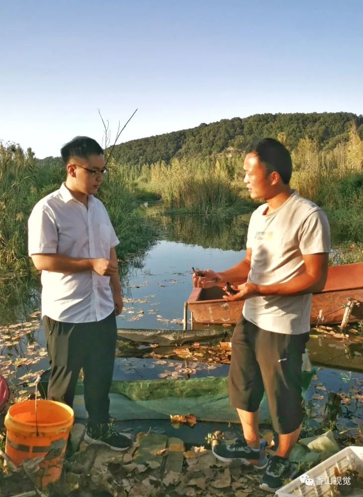 河南鲁山：小龙虾养殖遇难题，农信助力显真情