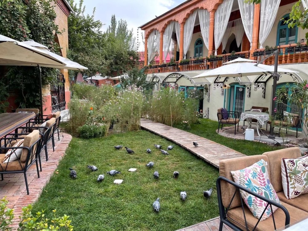 一个香港人的新疆见闻(一)——新疆伊宁最美民宿_腾讯新闻