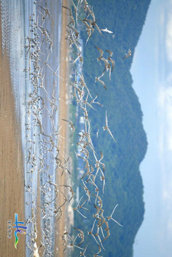 珠海斗门南澳度假村图片