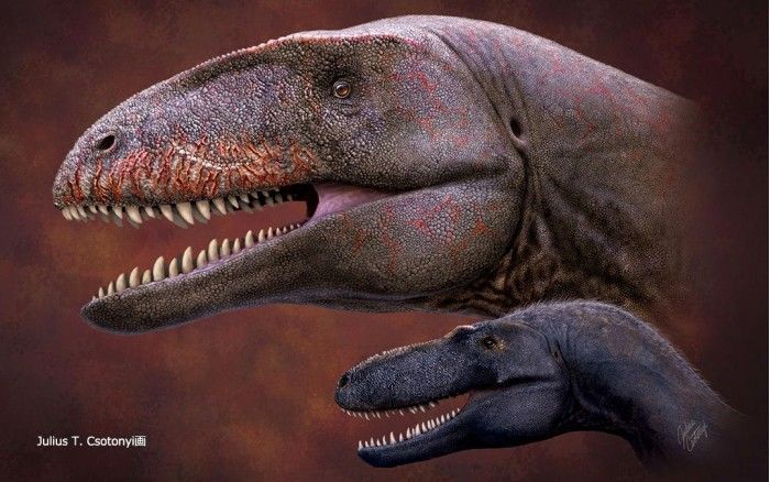 霸王龙之前谁最强 恐龙化石揭示了新的顶级掠食者 腾讯新闻