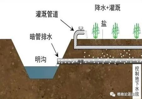 当时我们也参与了新疆生产建设兵团引进的荷兰暗管排水技术.
