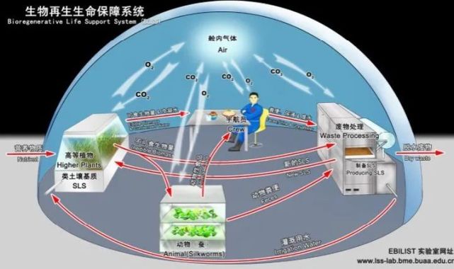 life support system,blss)",是基于生态系统原理将生物技术与工程