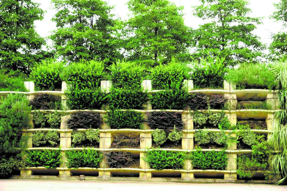 "这面种满花草的挡墙是一面会呼吸,有生命的生态墙.