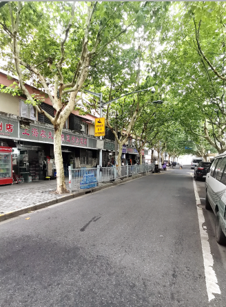 浦东大道苗圃路图片