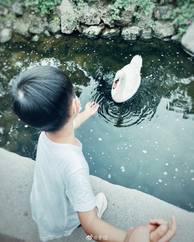 李佳晒母子仨人温馨合照，6岁靳小爷忙赶作业，4岁二爷开心逗天鹅