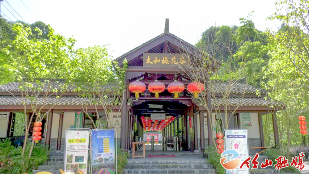 今天太和梅花谷景区开门营业