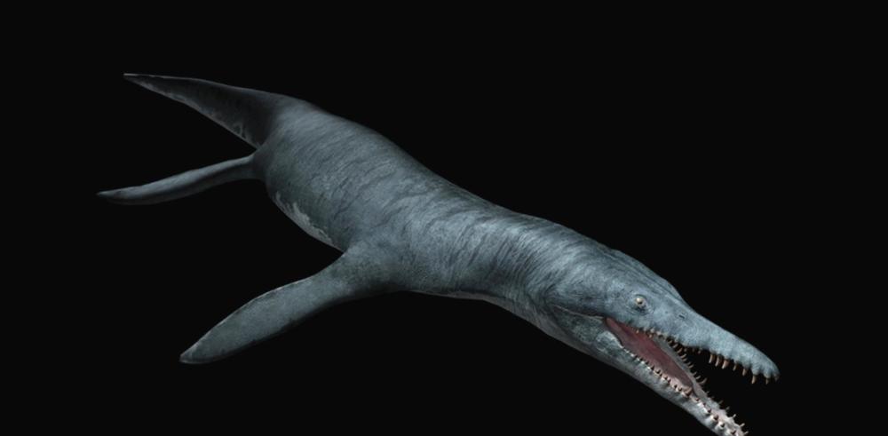 《巨齿鲨2》 免费观看 迅雷下载 【1080p超清】 【1280p】 免费观看