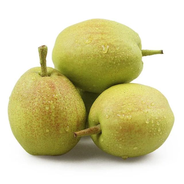 467万亩库尔勒香梨进入全面采收期