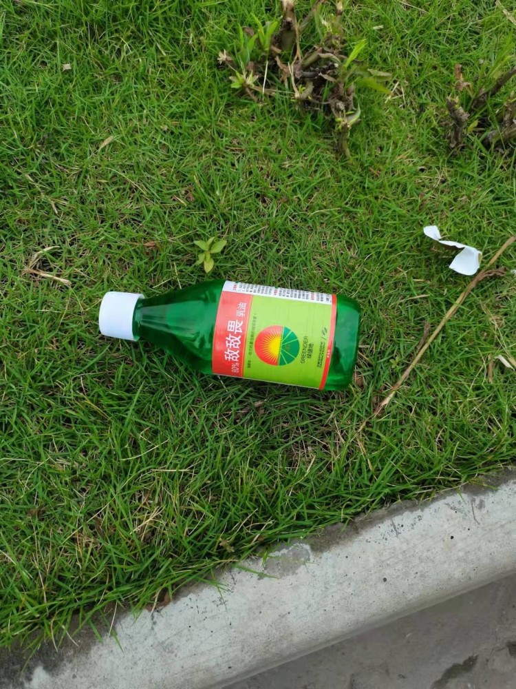 老人喝下敌敌畏后欲跳河自杀,还好