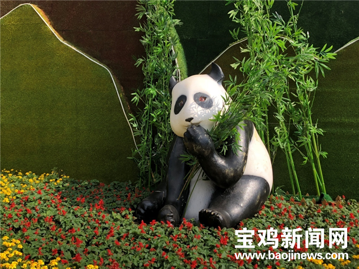 自行设计,制作,历时1个月时间,精心打造了这组"秦岭四宝"景观造型奉献