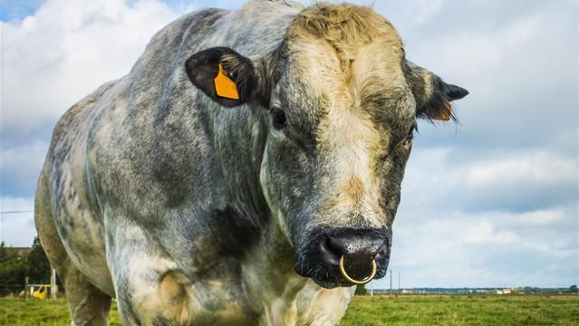 腾讯内容开放平台