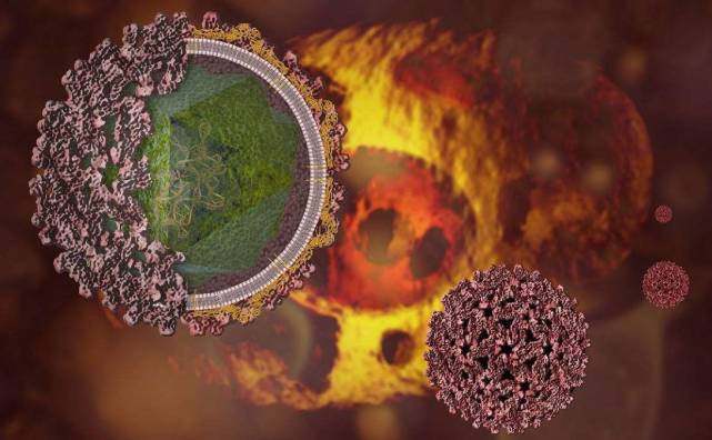 "印度出现致命病毒尼帕,莫迪的考验来了