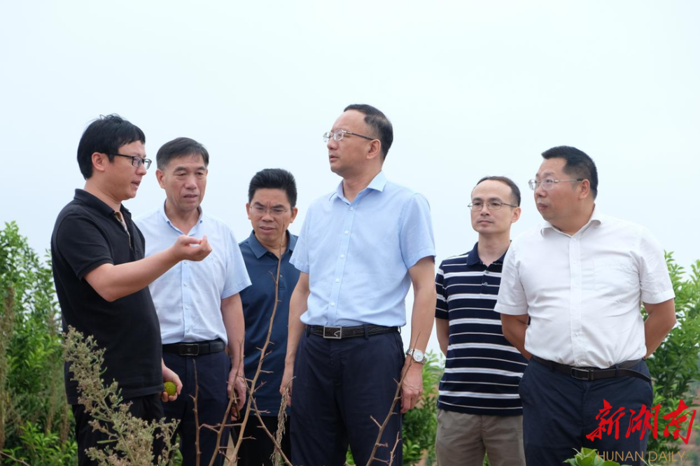 衡阳市林业局赴祁东县调研乡村振兴工作