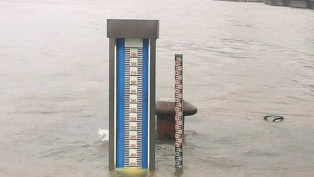 受台风灿都影响黄浦公园水文站水位明显上涨