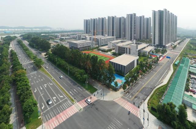 对此深有同感的还有今年入读金隆小学海滨路校区的学生家长,"这条路很