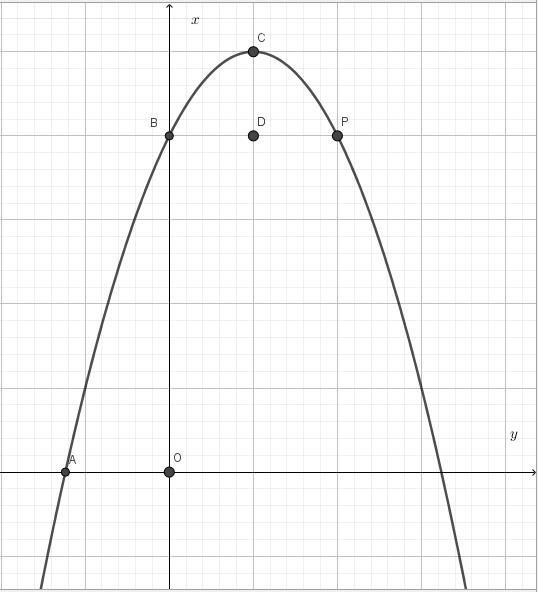 可能都是一个上升又下滑的抛物线对于大部分足球运动员来说从18岁到