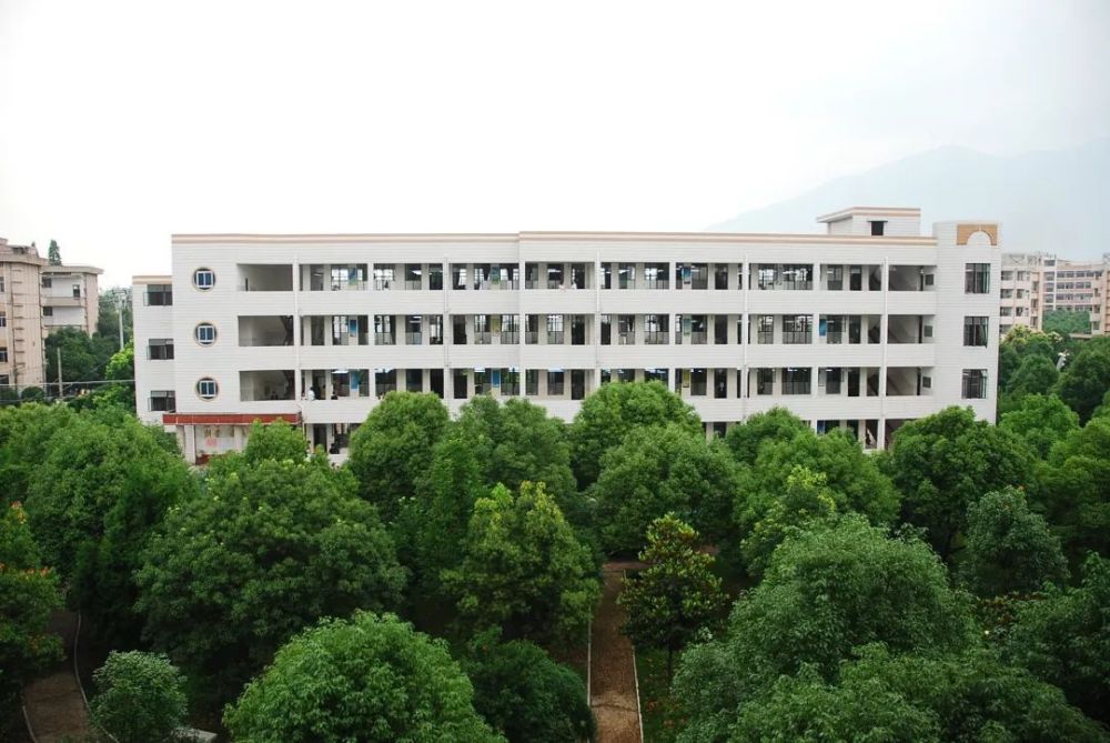 缙云中学丽水中学双雄争锋20192021年丽水市高中质量盘点