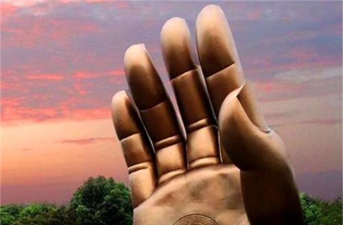 最特别的3只手:一只握在树上,一只长在海里,一只在我国江苏