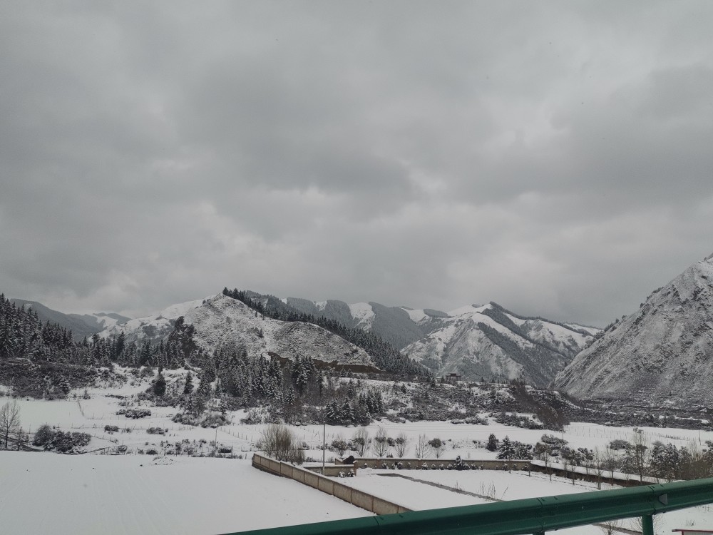 甘南雪景今年4月拍的