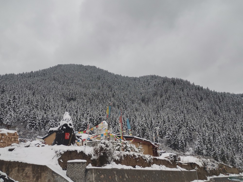 甘南雪景今年4月拍的