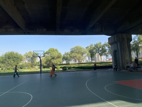 公园篮球场有篮板没篮环居民说好的全民健身呢