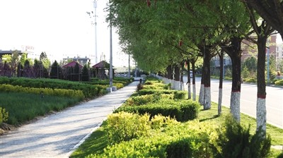 南山公园,晨练,散步都有绿树鲜花相伴,真是太享受生活啦,和林格尔县的