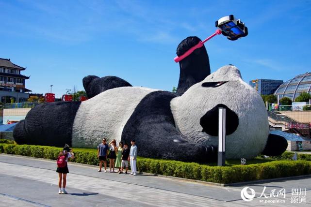 四川都江堰自拍熊猫获国际大奖