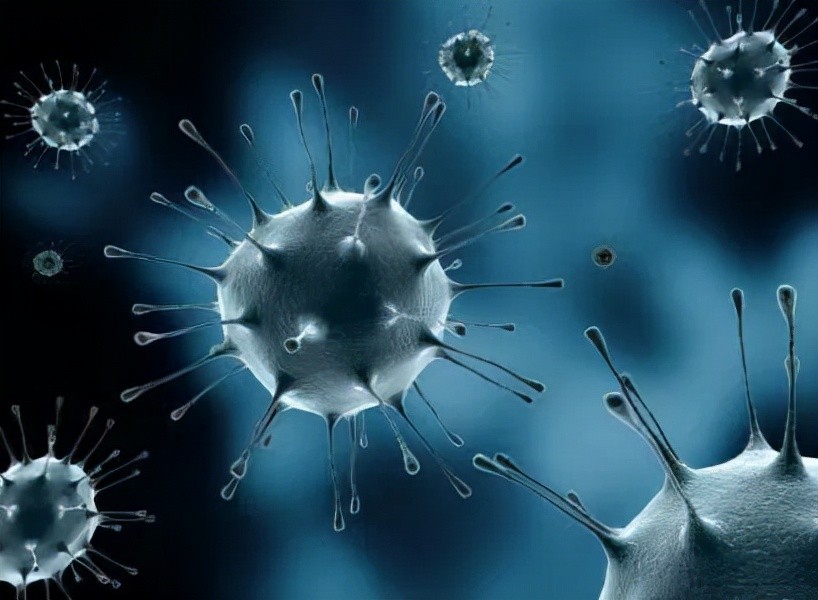 夏秋之交毒蚊子爱传播乙脑防治知识送给需要的人