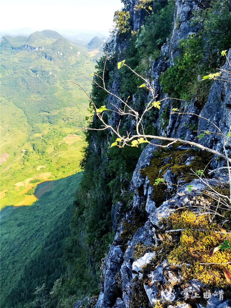 南丹山下有五龙乡水寨风景区,几公里外是凤凰谷风景区,几个风景区连成