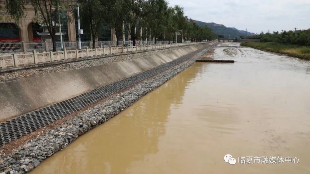 临夏市:实施绿化提灌及河道保护工程 推进生态环境建设