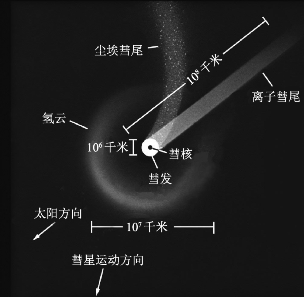 彗星结构示意图彗星躲藏在离太阳非常远的奥尔特云团中.