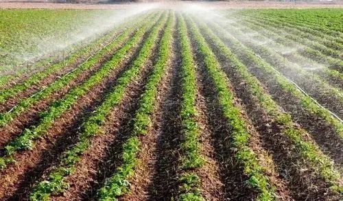 新微专题高考地理常考的垄作究竟讲的什么