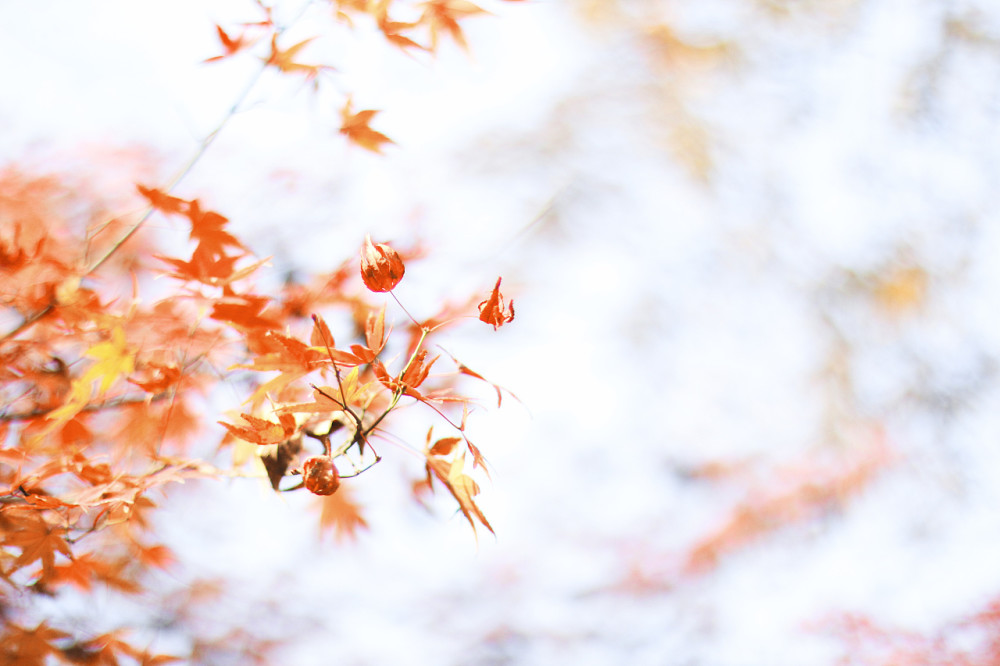 2021年的秋天别有深意,这10句话,相信能"治愈"你的灵魂_腾讯新闻