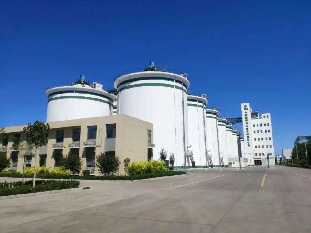 中储粮2021年改革成绩单构建六大体系增强管控监督能力