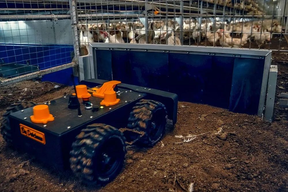 专访丨大荷兰人:软件是未来重点 或通过外部增长来扩大中国业务版图