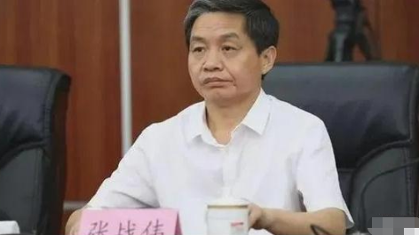 "掌掴事件"后 河南济源市委原书记张战伟新职明确