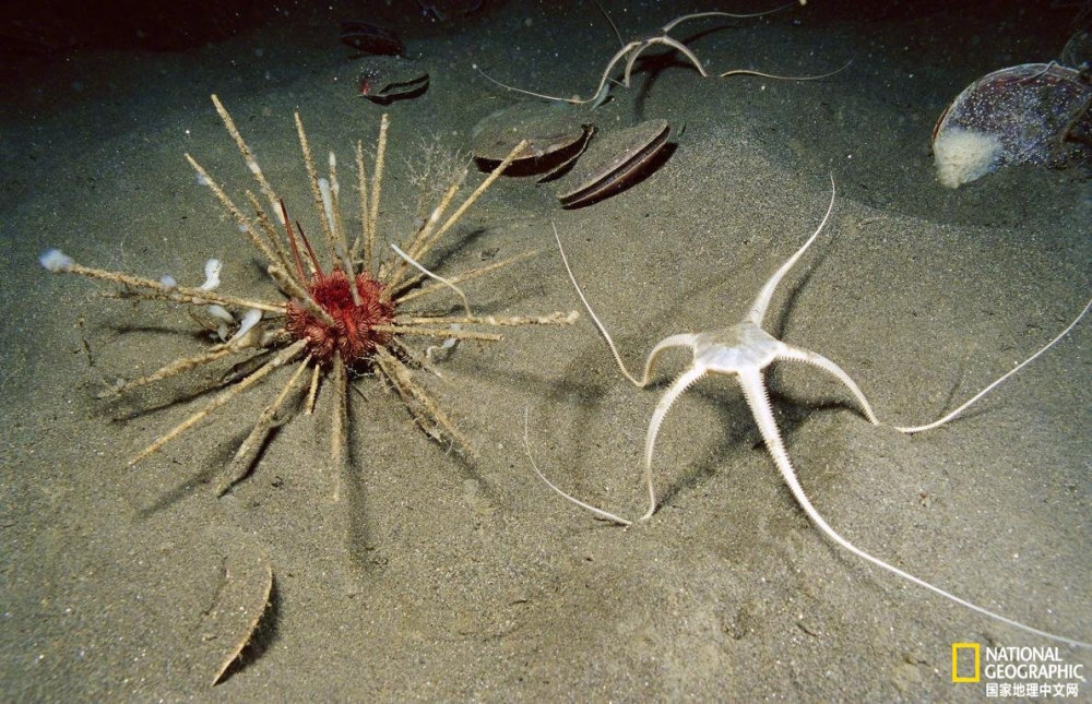 地球外星傻傻分不清