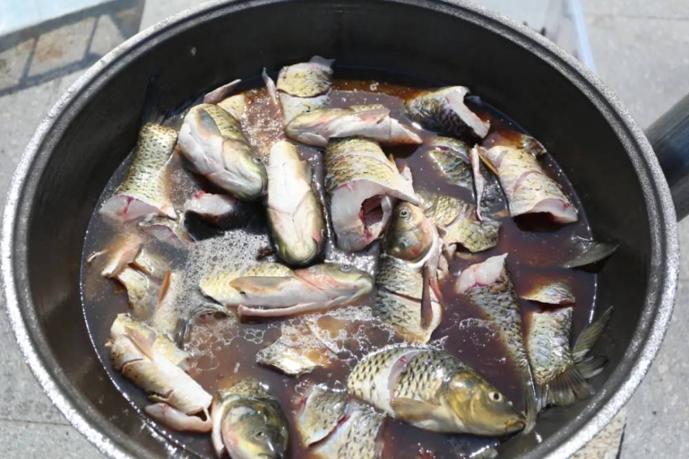 连吃十天不要钱!山东一高校做全鱼宴,学生:亲手喂大的鱼,真香