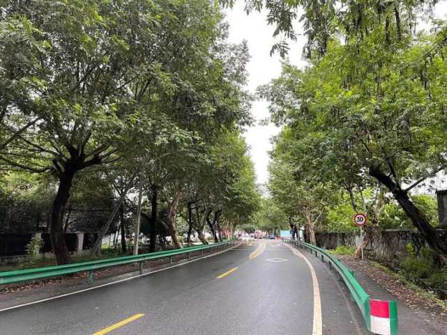 重走赵构走过的路寻一寻他自个儿掏腰包重修的宫