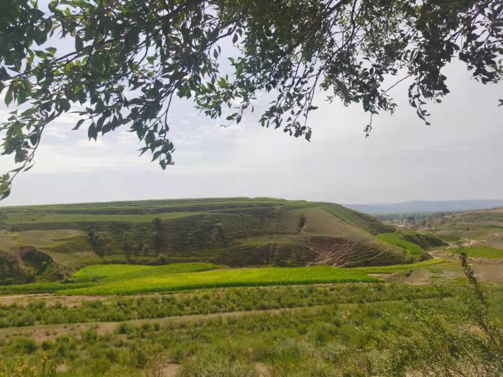内蒙古和林格尔县新店子镇胶泥湾村北依马鞍山,南望四棱山,东邻大宝山