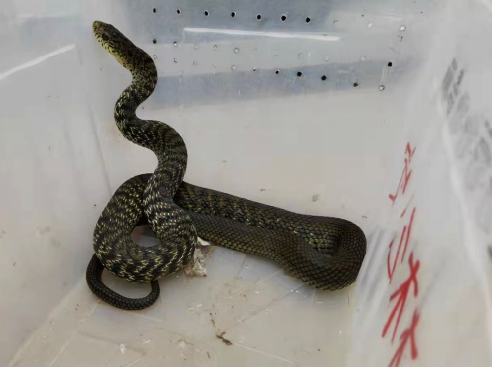 我为群众办实事无论大事小情昆明警方一直在线